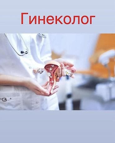 пл: Клиника | Акушер-гинеколог | Диагностика, Консультация, Ведение беременности — 2
