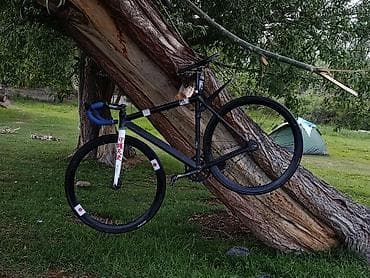 fixe gear: Городской велосипед, Рама M (156 - 178 см), Новый — 2
