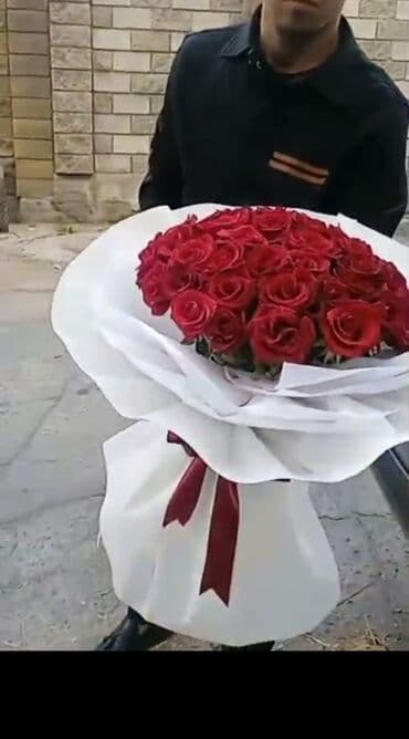 живые растения в аквариум купить: Акция‼️‼️‼️101 и 51 роза букет 💐 любое оформление в подарок 🌹акция — 5