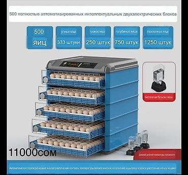 Инкубатор автоматический настольный с прозрачной камерой. Инкубатор