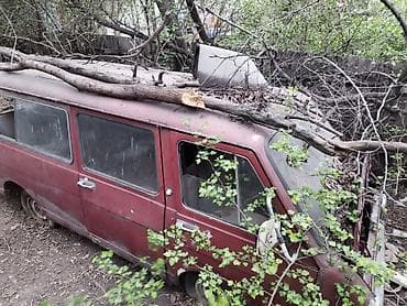 raf: RAF : 1984 г. — 2