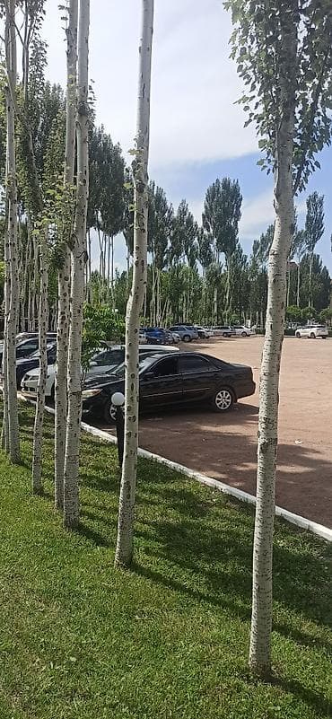 авто корея сайт бишкек: Toyota Camry: 2004 г., 2.4 л, Автомат, Бензин, Седан — 2