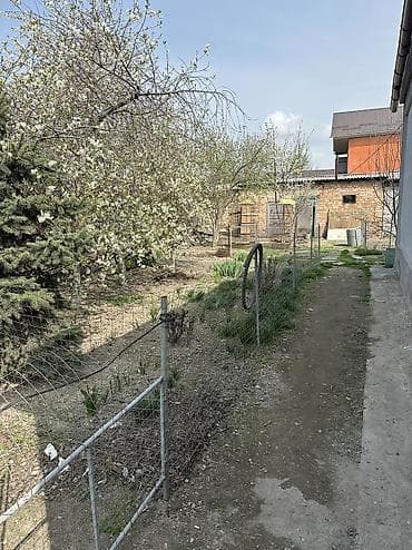 ош жилье: Угловой участок в начале с.Пригородного, можно поделить на два — 7