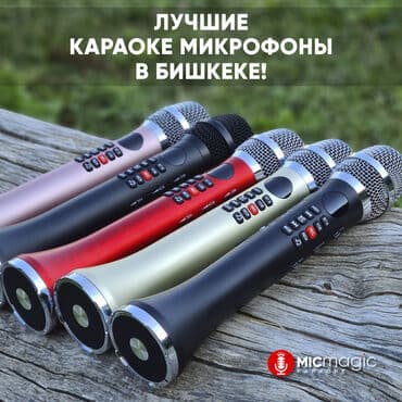 dsp: Оригинальный караоке микрофон Micmagic L700 * *Мощность 20w — 6