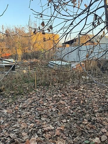 ленское: 6 соток, Для строительства, Тех паспорт, Красная книга, Договор купли-продажи — 9