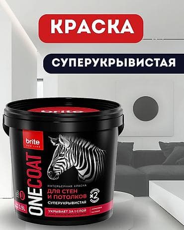 жабуу: Краска BRITE PROFESSIONAL ONE COAT для стен и потолков — 1