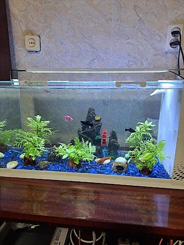 рыбки аквариум: Аквариумный комплект с верхней LED‑подсветкой и встроенной — 3