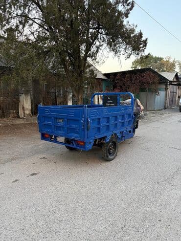 мото квадрацикл: Мотороллер муравей Электро, 60 км, 1000 - 1499 кг, Б/у — 5