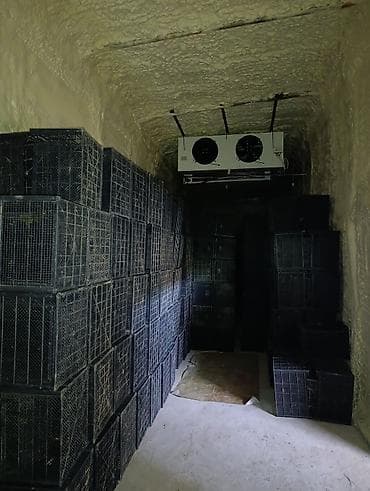 холод оборудования: Промышленная холодильная и морозильная камера с оборудованием и — 4