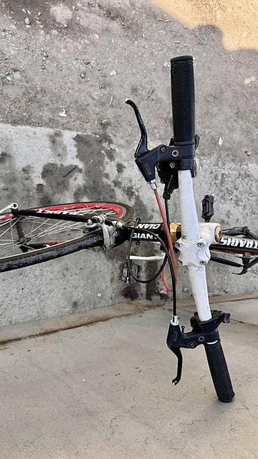 мер гигант: Шоссейный велосипед, Giant, Рама M (156 - 178 см), Б/у — 6