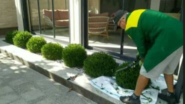 сколько стоит обучение на маникюр: Сделали ландшафтный дизайн? Нужно поддерживать его в идеальном — 13