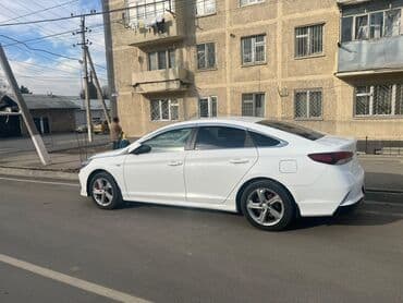 авто цена: Hyundai Sonata: 2019 г., 2 л, Автомат, Газ, Седан — 4