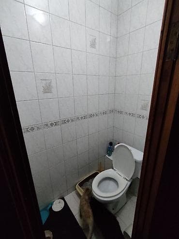 nomad hostel: Сдается отдельная комната для девушки. Комната светлая, с окном во — 4