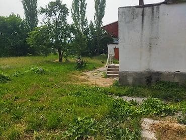 Жер тилкелери: 10 соток, Айыл чарба үчүн, Кызыл китеп, Техпаспорт — 4