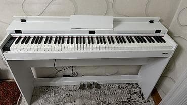 Пианино, фортепиано: 🎹 Цифровое пианино B8100 (белое) + стул + сборник нот Продаю цифровое — 1