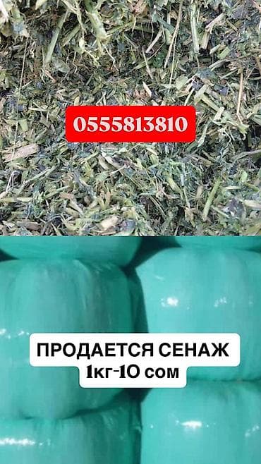 клубни: Корма для с/х животных — 1