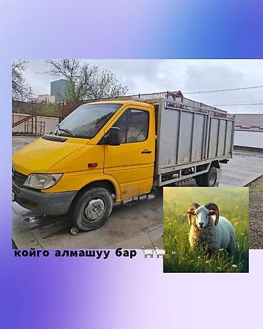 Mercedes-Benz Спринтер: 2003 г., Кол менен иштөөчү, Van