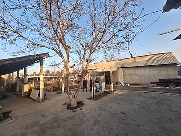 участок каирма: 9 соток, Красная книга — 10