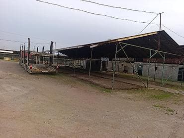 переносной гараж: Сдаёться навес в аренду 450 квадрат на долгий срок под склад итд — 6