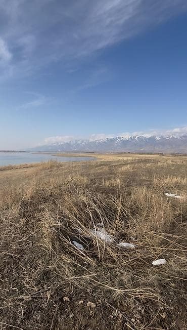 участок ново пакровка: 5 соток, Для сельского хозяйства, Красная книга, Тех паспорт, Договор купли-продажи — 2