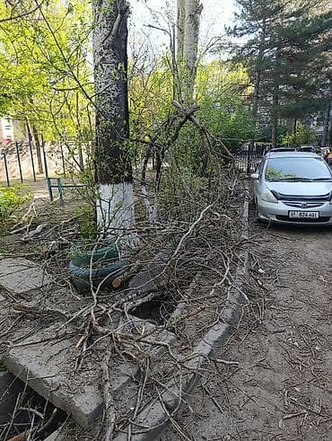 империя пиццы аламедин 1: Дрова Самовывоз — 3