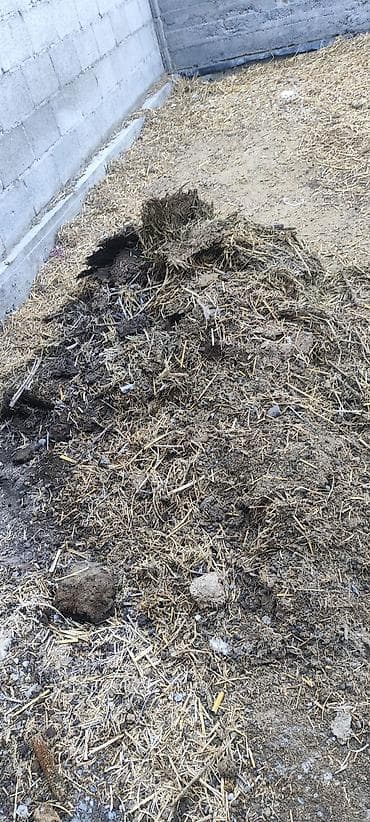 Все для дома и сада: Навоз с подстилкой из соломы. Подходит для удобрения огорода, сада — 3