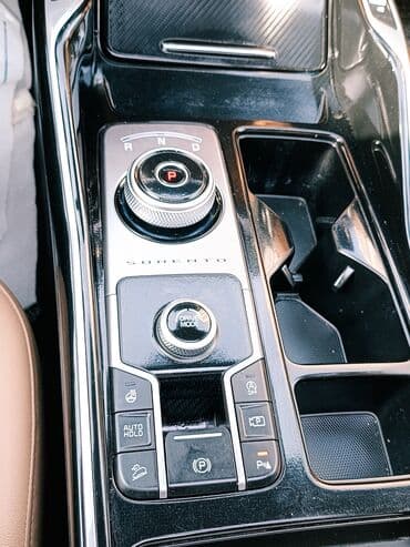 c 220: Kia Sorento: 2020 г., 2.2 л, Робот, Дизель, Кроссовер — 10