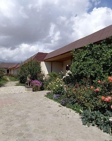 новониколаевка кара балта: У вас есть прекрасная возможность заработать в летний период — 3