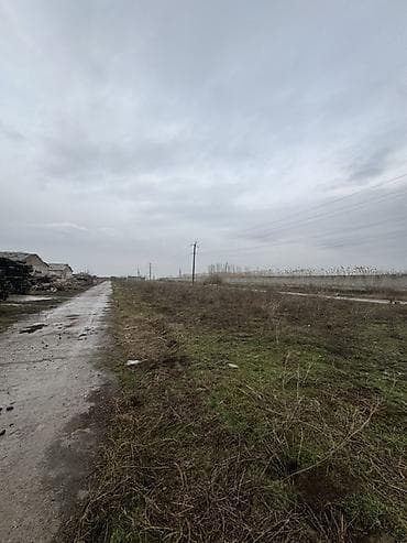 б у фермы: Сдам в аренду ангары между аэропортом и новым ошским рынком, так же — 10