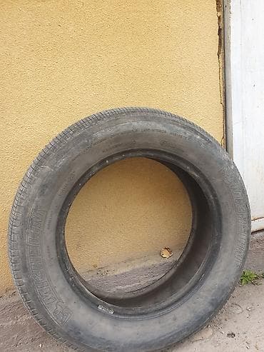 шипованная: Зимняя шина Nokian Nordman 5, шипуемая - Размер: 185/65 R15 (указано — 4