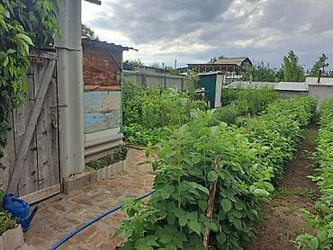 Недвижимость: Дача с ухоженным огородом и постройками - Дом садовый 1,5 .имеется — 6
