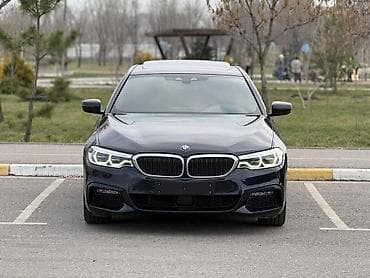 2025: BMW 5 series: 2019 г., 2 л, Автомат, Бензин, Седан — 1