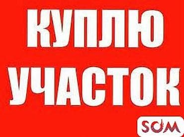 рухий мурас 1: 4 соток, Кызыл китеп — 1