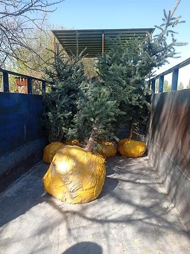 стол кухонный бу: Декор для дома и сада, Самовывоз — 1