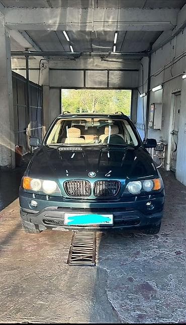 w210 2 7: BMW X5: 2001 г., Кроссовер — 1