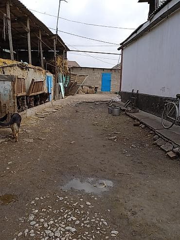 бишкек продаю дом село дордой 2: Үй, 100 м², 4 бөлмө — 5