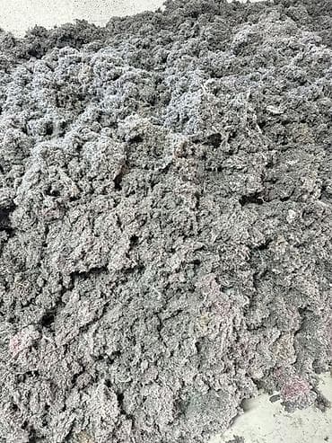 жанатан алма: Жаңы, Өзү алып кетүү — 1