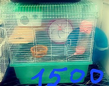 Продаю клетки для хомячков. б/у. цены от 500 до 1500 сом. хомячки по