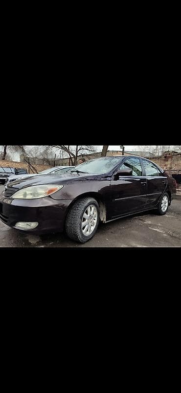 Toyota Camry: 2003 г., 2.4 л, Автомат, Бензин, Седан — 2