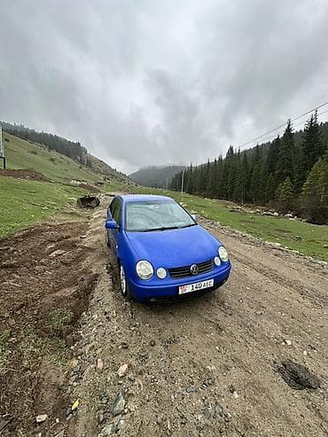 поло гольф: Volkswagen Polo: 2002 г., 1.4 л, Автомат, Бензин, Хэтчбэк — 2