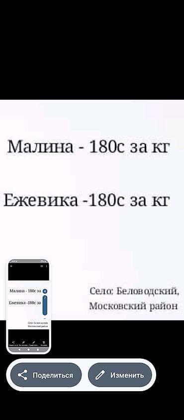Ягоды: Малина В розницу — 1