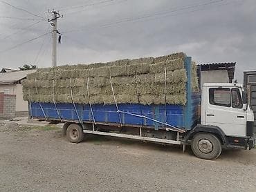 автономка 12в: Грузовик, Mercedes-Benz, Стандарт, Б/у — 6