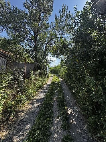 гаражи токмок: 4 соток, Бизнес үчүн, Кызыл китеп — 3