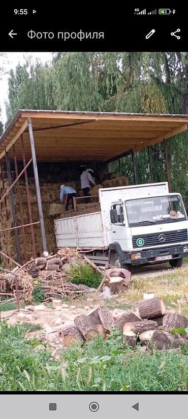 траву: Сено в тюках - Плотные прямоугольные тюки, аккуратно спрессованные — 1