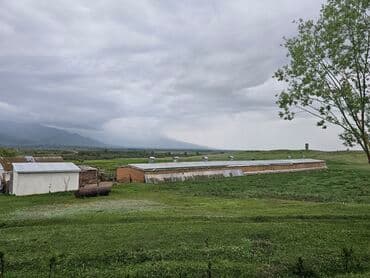 купить дом в деревне лнр недорого: Дача, 30000 кв. м, 2 бөлмө, Менчик ээси — 2