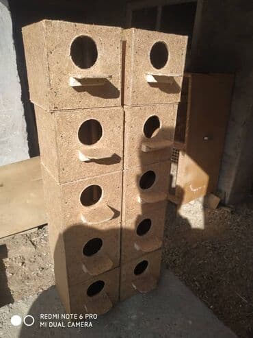 купить клетку для бройлеров: Амадины очень просты в содержании и прекрасно подходят для начинающих — 3