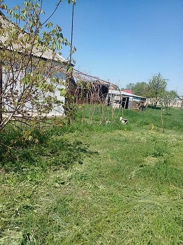 свет новопавловка: 14 соток — 2