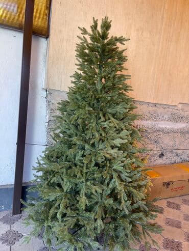 Новогодние елки по выгодной цене и качеству 🎄 Без запаха не