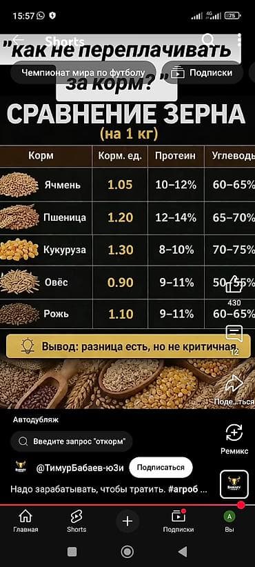 комбикорм гранулы: Углеводный кормовой брикет «Фелуцен» для КРС Описание: - Кормовой — 1
