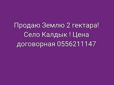 дома сосновка: 2000 соток, Для сельского хозяйства — 1